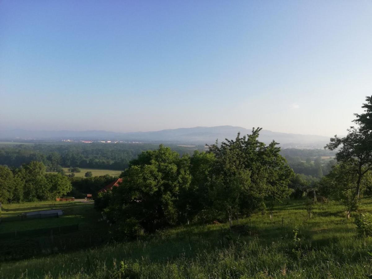 Vikendica I Vajat Vrbica Villa Kalesija Exterior foto